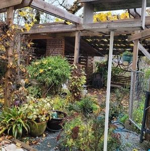 Meet your Posher, Bill